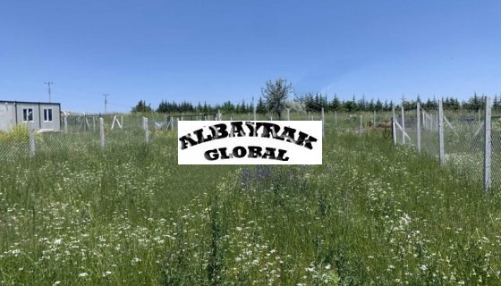 ASFALT KENARI TELİ ÇEVRİLİ