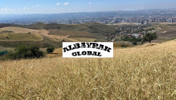 YUVAKÖY ORTA BAĞLAR MEVKİ SATILIK FIRSAT ARSA YATIRIMLIK